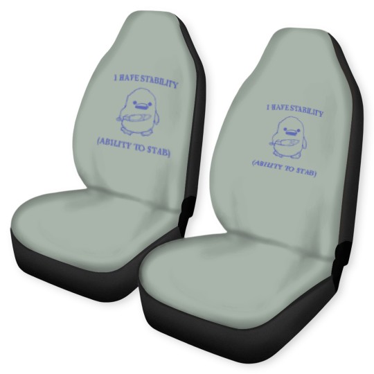 Discover I Have Stability Ability To Stab Car Seat Covers, I Have Stability. Ability To Stab Car Seat Covers