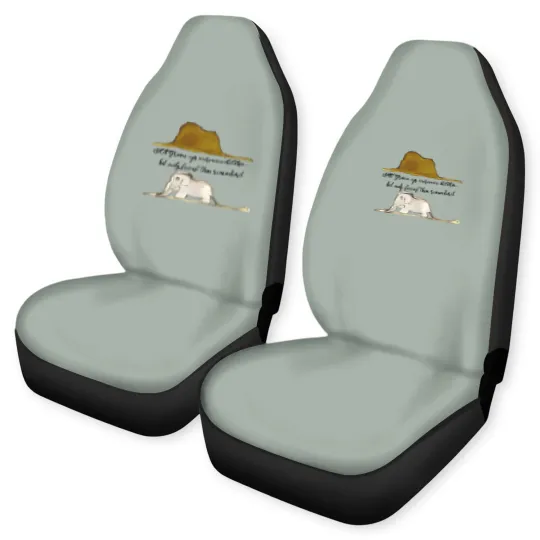 Discover Le Petit Prince Car Seat Covers, Little Prince Car Seat Covers, Boa Elephant or Hat Car Seat Covers, Prince and Fox Car Seat Covers
