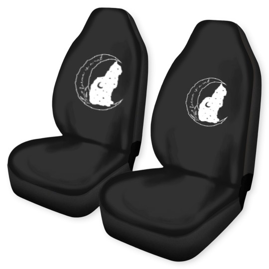 Discover Karma is a Cat Car Seat Covers