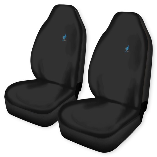 Discover Northeast Ohio Medica'l University (NEOMED) Established 1973 Car Seat Covers