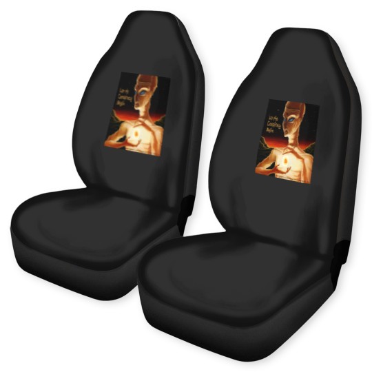 Discover Guess - An Alien Conspiracy Oversized Car Seat Covers