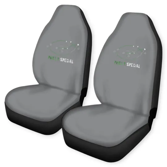 Discover Philly Special Philly Special Championship birthda Car Seat Covers