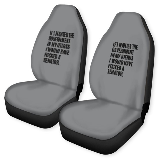 Discover Abortion is healthcare - abortion rights - Abortion Is Healthcare - Car Seat Covers