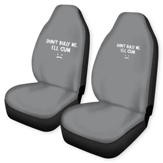Discover Don’t Bully Me. I’ll Cum May Be A Amusing Family Joke Car Seat Covers