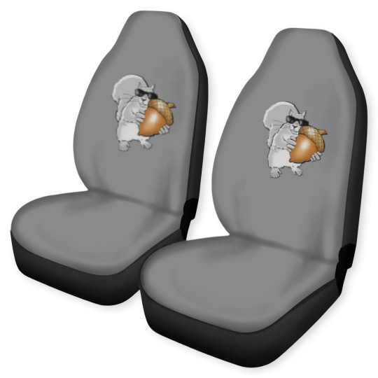 Discover blind squirrel Car Seat Covers