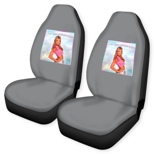 Discover Britney Spears Car Seat Covers I Only Accept Apologies in Cash
