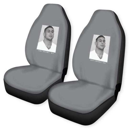 Discover Aaron Hernandez, 2013 Mugshot Car Seat Covers