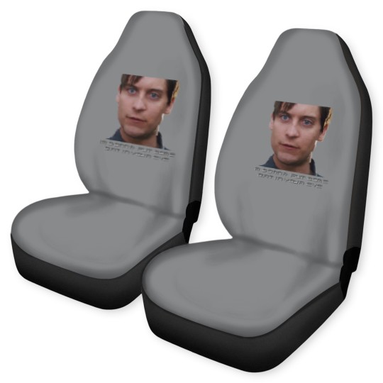 Discover DIRTy Tobey Car Seat Covers