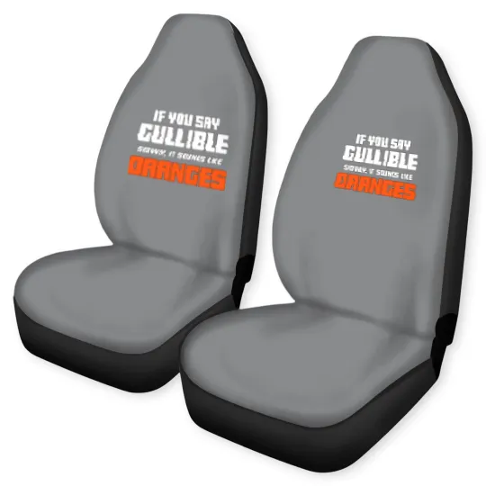 Discover Don't Be So Gullible Car Seat Covers