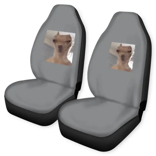 Discover Chihuahua meme - Funny - Car Seat Covers