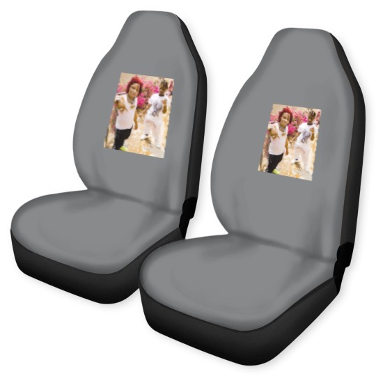 Discover Friends Car Seat Covers