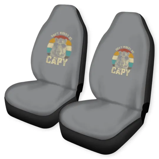 Discover Capybara Dont Be Worry Be Capy funny animal Capybara Lover Car Seat Covers