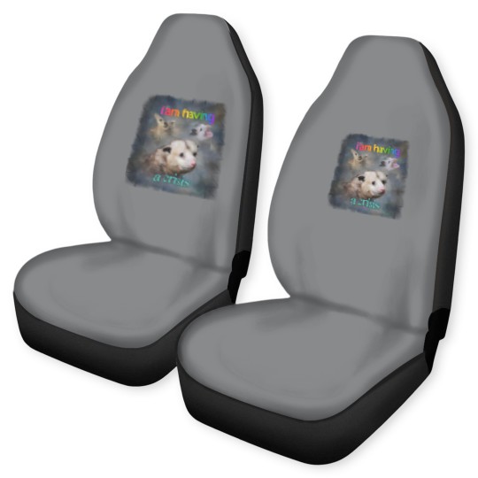 Discover I am having a crisis possum word art Classic Car Seat Covers