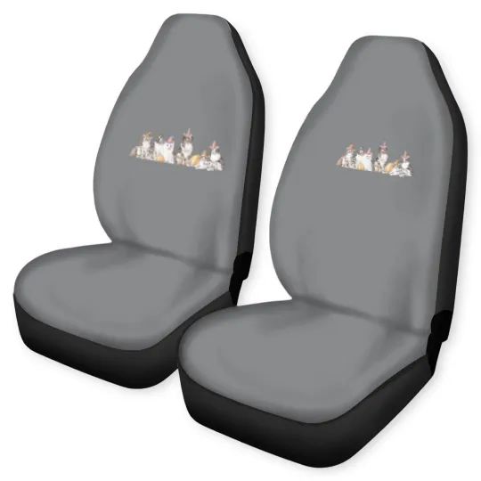 Discover Australian Shepherd Halloween  Car Seat Covers