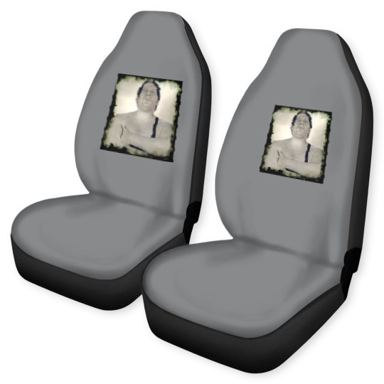 Discover GIANT! - Andre The Giant - Car Seat Covers
