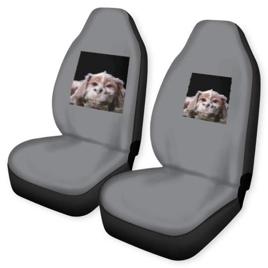 Discover Falkor The Luck Dragon From The Neverending Story Car Seat Covers