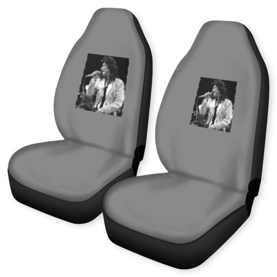 Discover Steve Perry Art Car Seat Covers