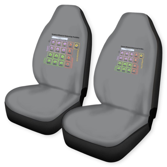 Discover Elementary Particles - Standard Model Car Seat Covers