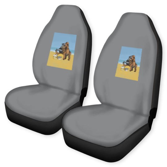 Discover Fleetwood Mac Mystery to Me Classic Car Seat Covers