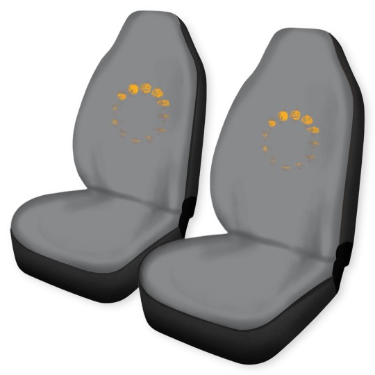 Discover pumpkin life cycle for thanksgiving halloween costume t Car Seat Covers