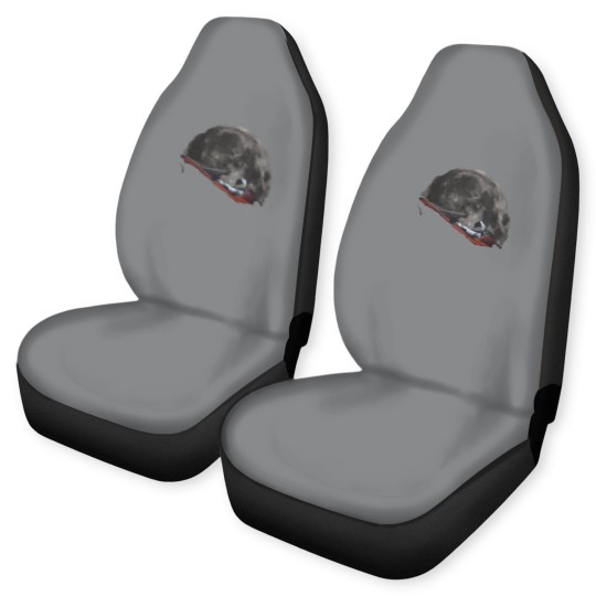 Discover Spacex Starman In Orbit Around The Moon - Spacex - Car Seat Covers