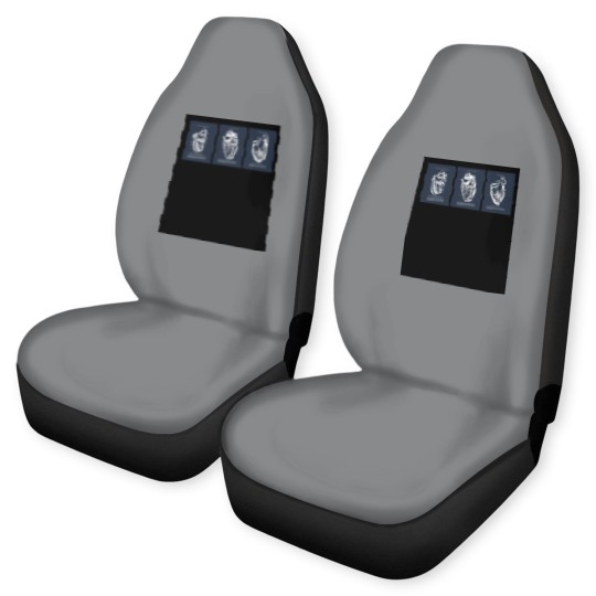 Discover Anatomy Of Human Heart Car Seat Covers