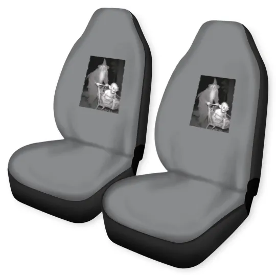 Discover Lord of the Rings Car Seat Covers, Aragorn Car Seat Covers