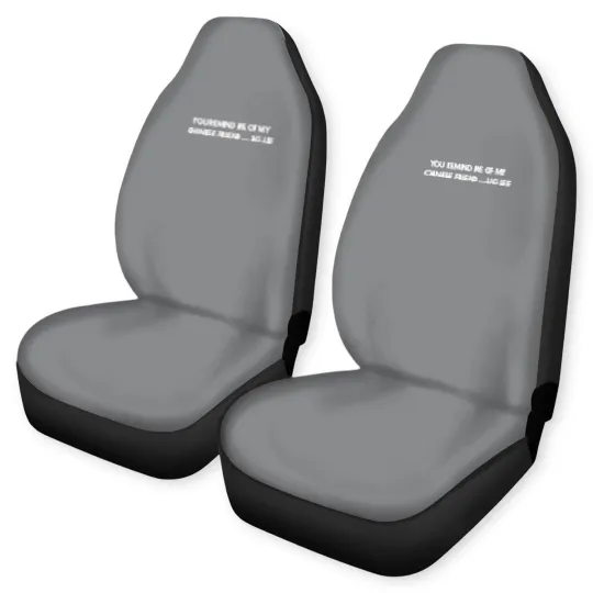 Discover You remind me of my Chinese friend… Ug Lee - Funny Jokes - Car Seat Covers