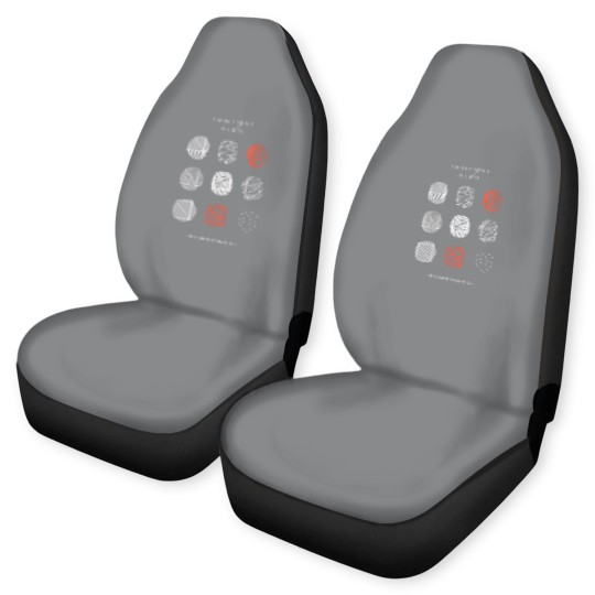 Discover Pilotss band blurryface album logo Car Seat Covers