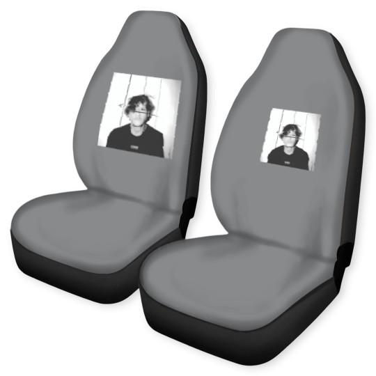 Discover Cal Scruby Julia Car Seat Covers