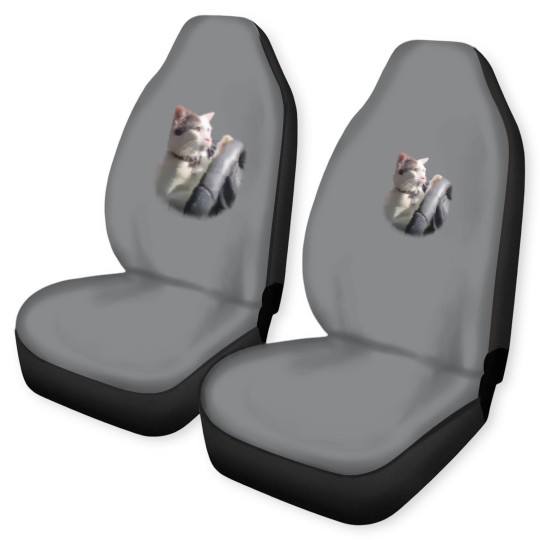 Discover Cat Driving A Car Instagram Katze Car Seat Covers