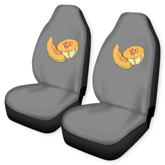 Discover Cantaloupe Melon Car Seat Covers