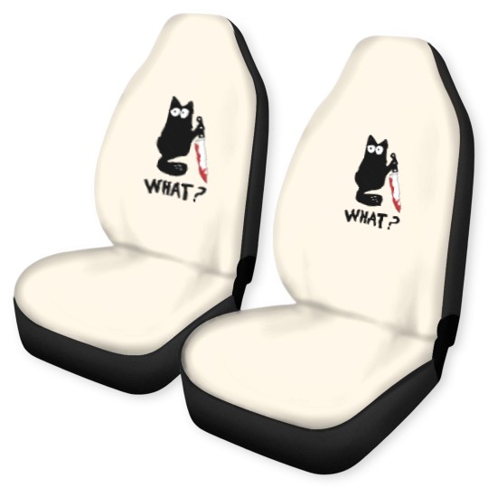 Discover Cat What Car Seat Covers