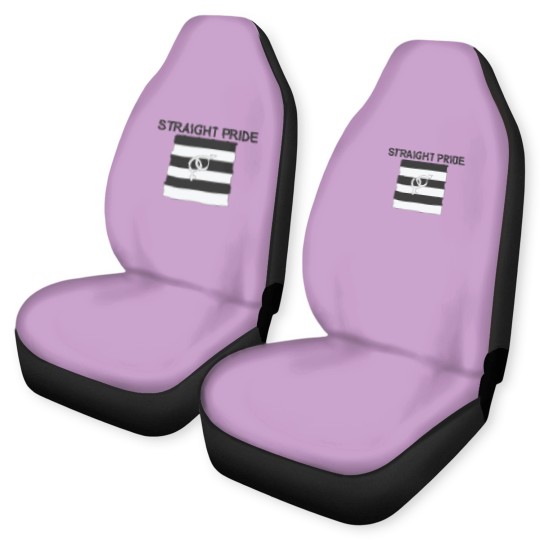 Discover Straight Pride Car Seat Covers Gender Symbols Men & Woman