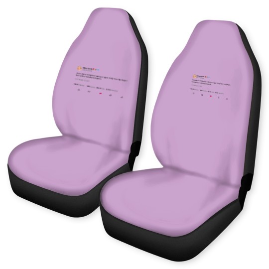 Discover Britney Spears Tweet Car Seat Covers, Paris Hilton Car Seat Covers, Funny Y2K Car Seat Covers