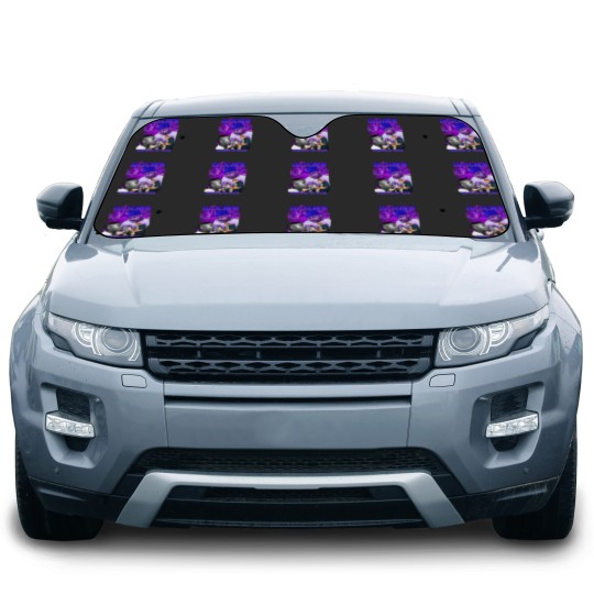 Discover Dj Screw Car Sun Shades