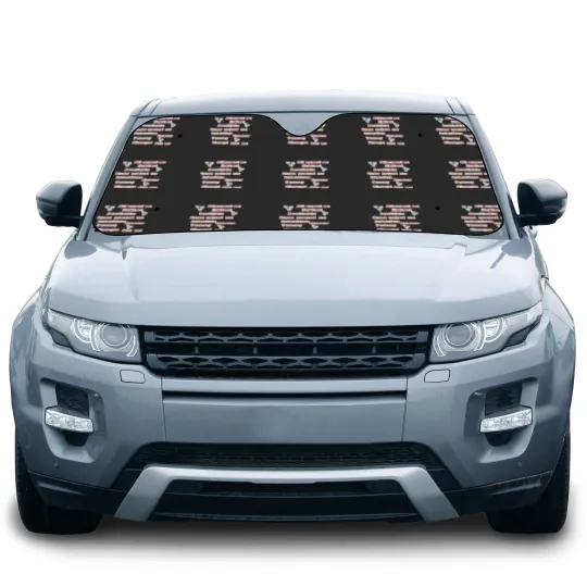 Discover Changes songs Car Sun Shades