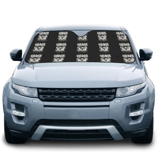 Discover Vader Car Sun Shades