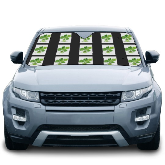 Discover Monstera monstera Baseball ¾ Sleeve Car Sun Shades