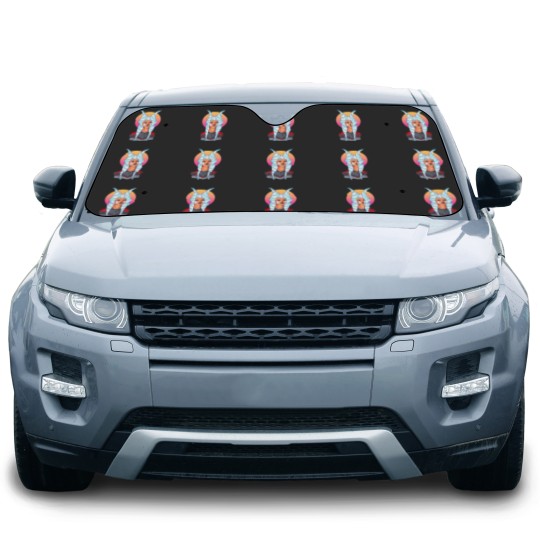 Discover Ahsoka Tano Car Sun Shades