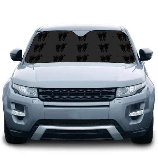 Discover Eric & Ernie Car Sun Shades