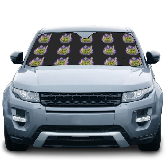 Discover TMNT Revenge Car Sun Shades
