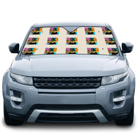 Discover Audrey Hepburn Script Car Sun Shades
