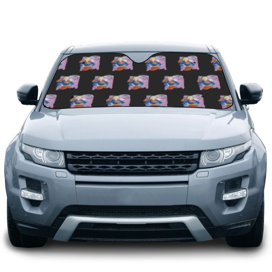 Discover Supergirl Galaxy Car Sun Shades