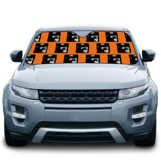 Discover Darkthrone Car Sun Shades, A Blaze In The Northern Sky Black Metal Norwegian Black Metal Car Sun Shades
