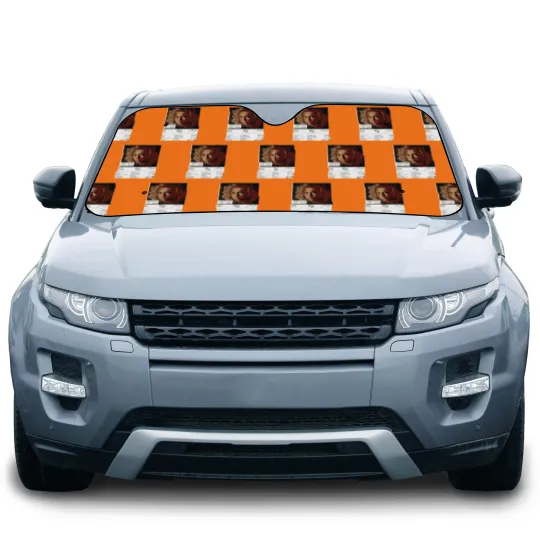Discover Eminem Poster - Relapse Album Cover Poster Print Car Sun Shades