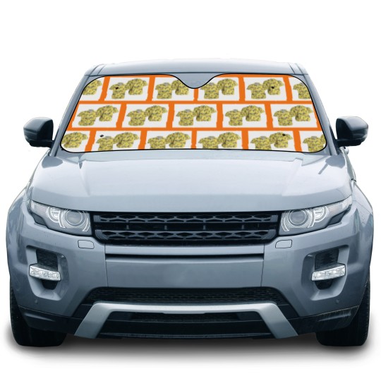 Discover United Airlines Boeing 737-824 Hawaiian Car Sun Shades, Summer Beach Car Sun Shades