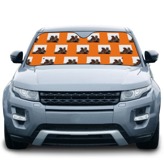 Discover Dumb and Dumber  Dumb and Dumber Bike Ride   Classic Car Sun Shades