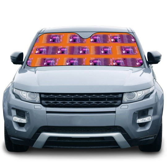 Discover Colton Dixon & Jordan Feliz - The Love + Light Tour 2023 Car Sun Shades