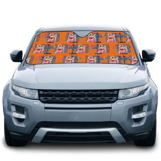 Discover Rod Stewart Lost In America Tour 1989 Car Sun Shades, 80s Rod Stewart Tour Car Sun Shades